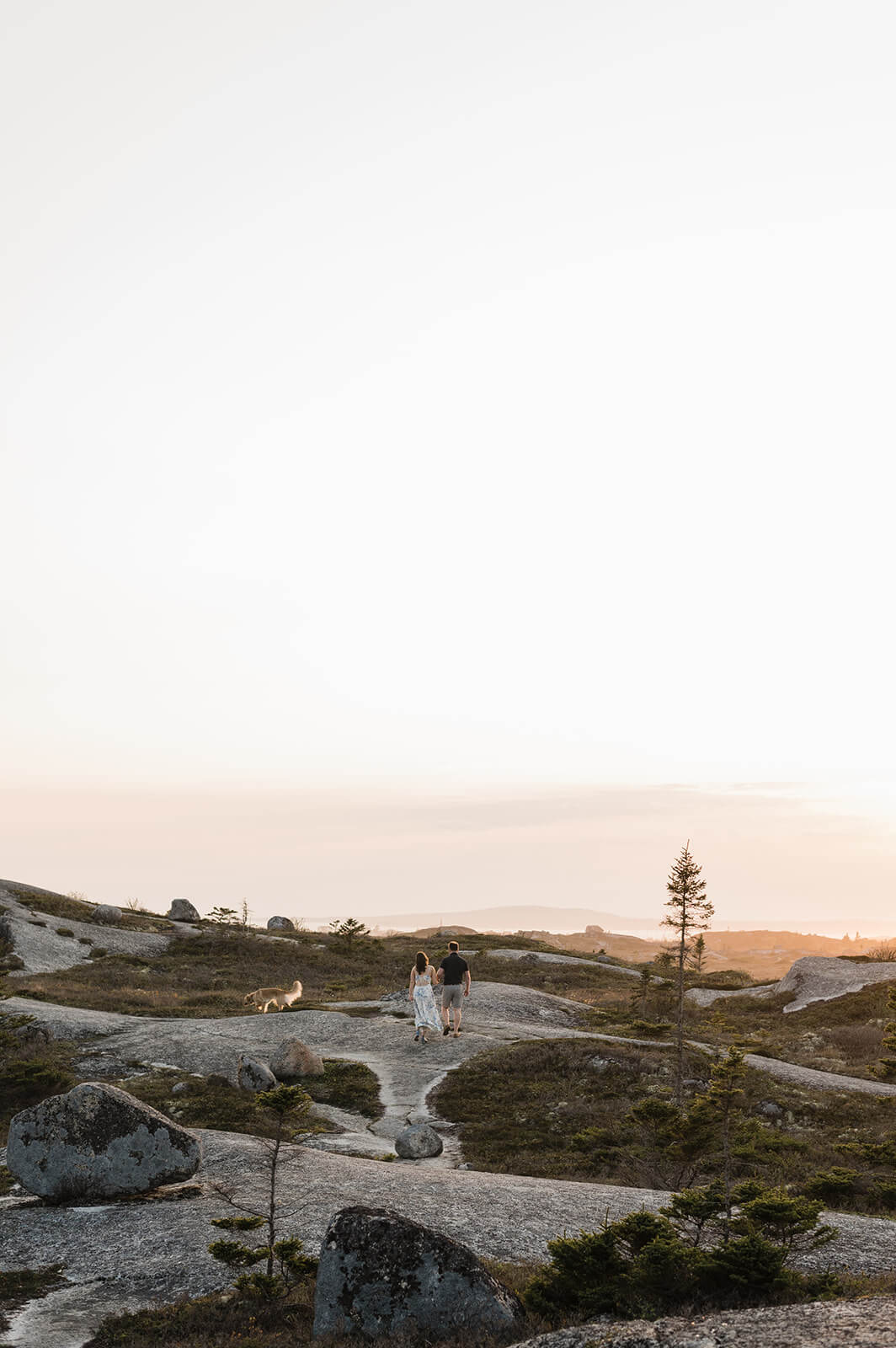 couple pose with their dog for engagement photos at Polly's Cove